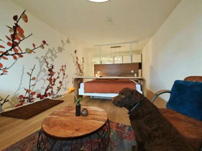 Artroom Boarding Apartment Bissendorf Exterior photo